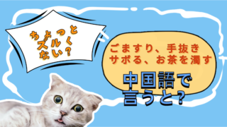 ズルい！ごますり、手抜き、サボる、お茶を濁す、を中国語で言うと？